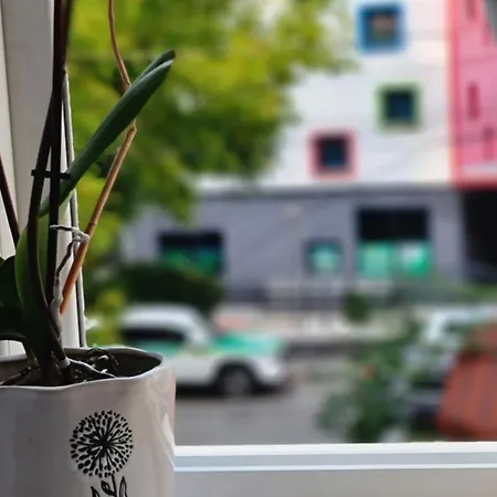 Apartment Zaimeen In Bllok Area