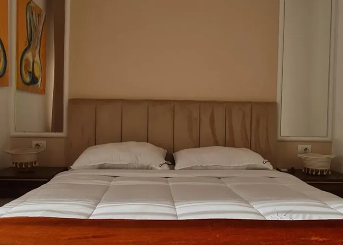 Zaimeen In Bllok Area * ティラナ