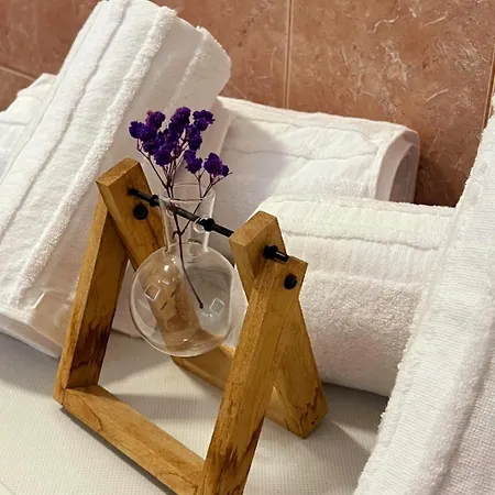 Zaimeen In Bllok Area