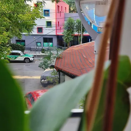 Zaimeen In Bllok Area Tirana