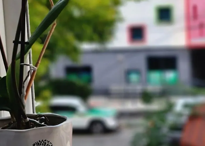 Apartment Zaimeen In Bllok Area