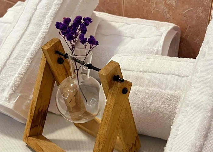 Zaimeen In Bllok Area