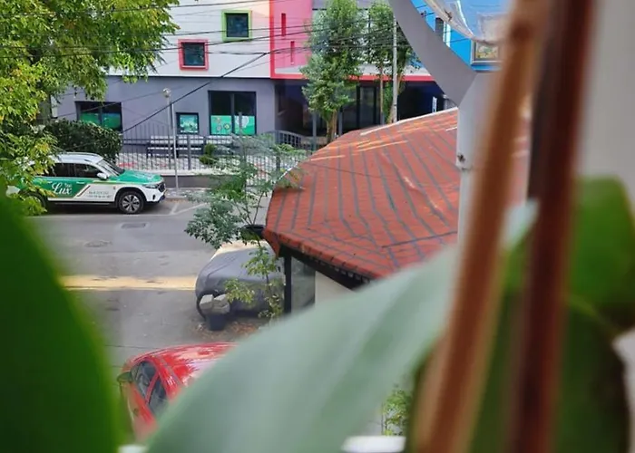 Zaimeen In Bllok Area Tirana